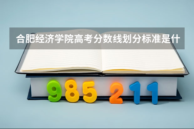 合肥经济学院高考分数线划分标准是什么？（高考分数线）