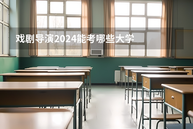 戏剧导演2024能考哪些大学