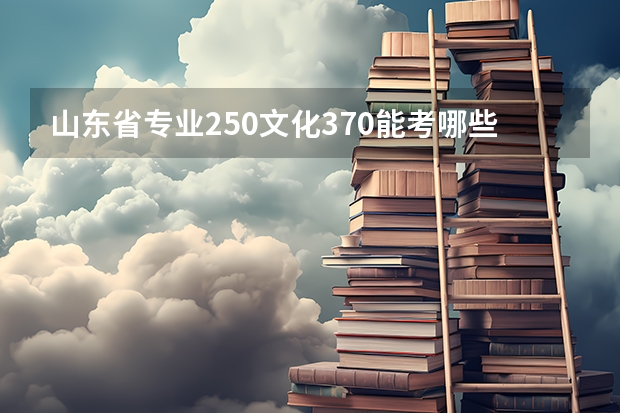 山东省专业250文化370能考哪些学校呢，山工艺可以吗？