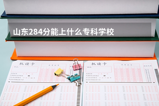 山东284分能上什么专科学校