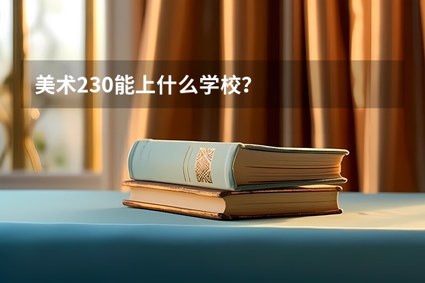 美术230能上什么学校？