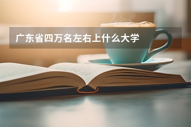 广东省四万名左右上什么大学