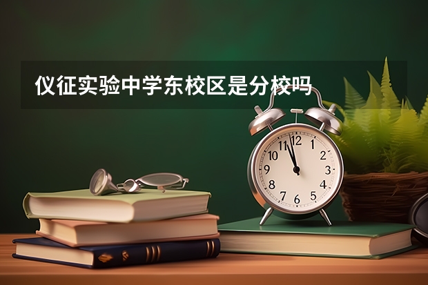 仪征实验中学东校区是分校吗