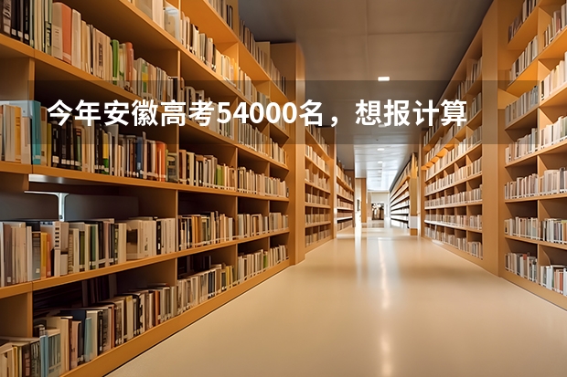 今年安徽高考54000名，想报计算机类的专业，安徽工程大学和安徽理工大学哪个建议。