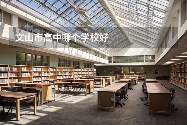 文山市高中哪个学校好