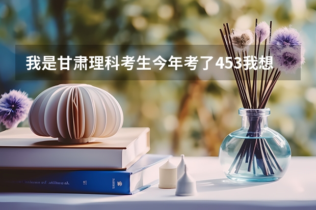 我是甘肃理科考生今年考了453我想报陇东学院能被录取吗？有啥专业可以选择