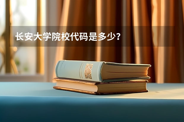 长安大学院校代码是多少？