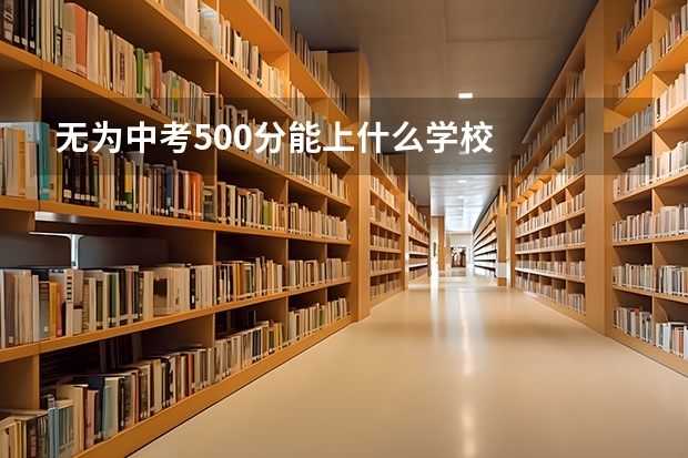 无为中考500分能上什么学校