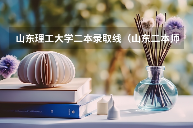 山东理工大学二本录取线（山东二本师范类院校及分数线）