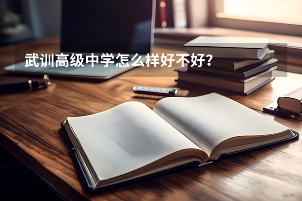 武训高级中学怎么样好不好？