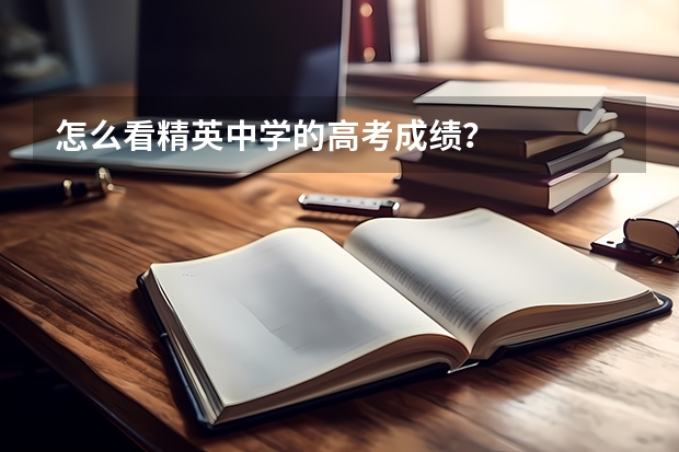 怎么看精英中学的高考成绩？