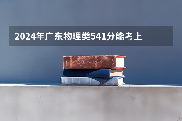 2024年广东物理类541分能考上什么大学？