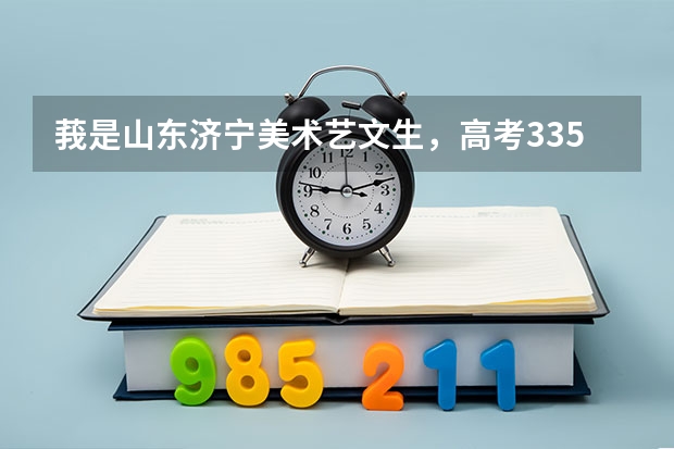 莪是山东济宁美术艺文生，高考335分，美术联考228、33分，莪可以报考什么样的学校？