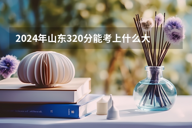 2024年山东320分能考上什么大学？