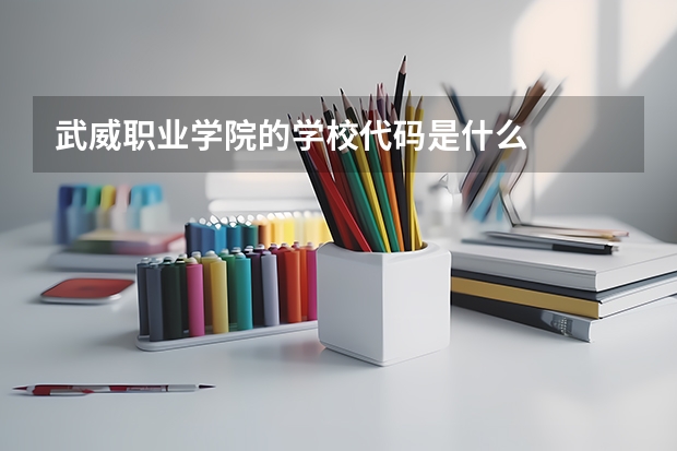 武威职业学院的学校代码是什么