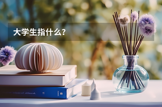 大学生指什么？